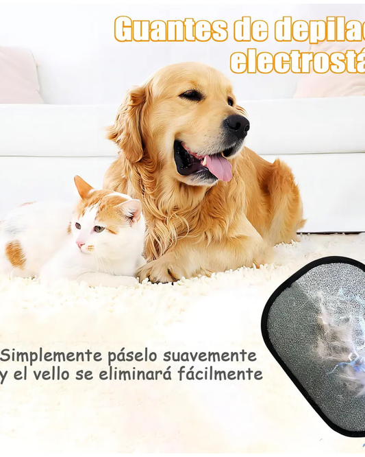 Guante quita pelos de mascotas ✨MAGIC Clear 🐶🐱